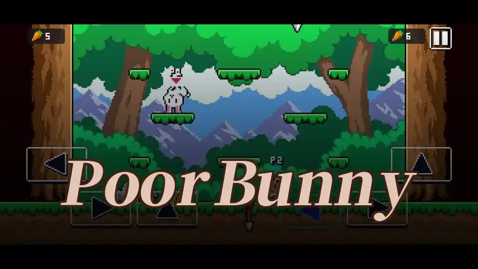 Poor Bunny